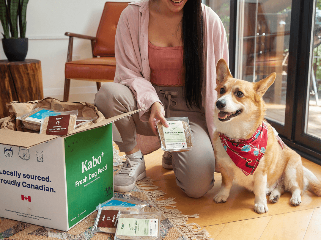 Dog Food Delivery Membership I Kabo