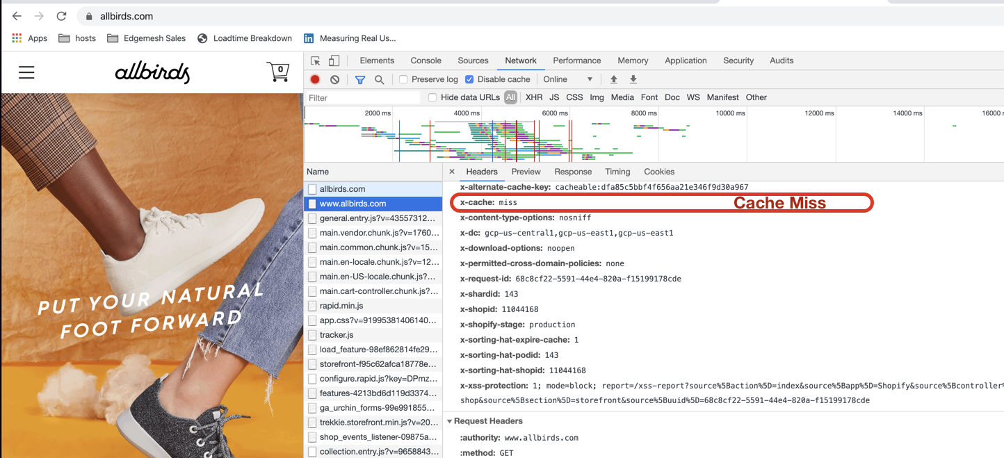 Looking at the x-cache Header