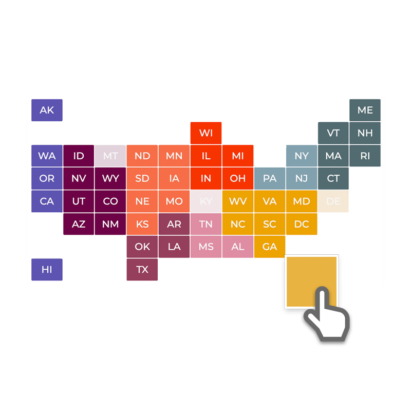 an assemblage of multi-colored boxes, each one representing a state of the United States.