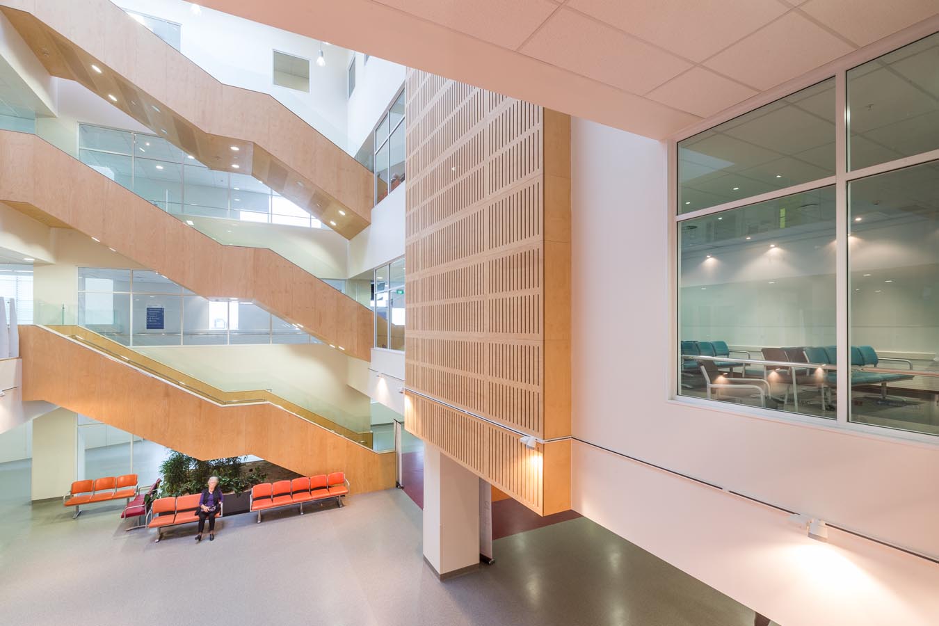 Waikato Hospital Meade Clinic Health