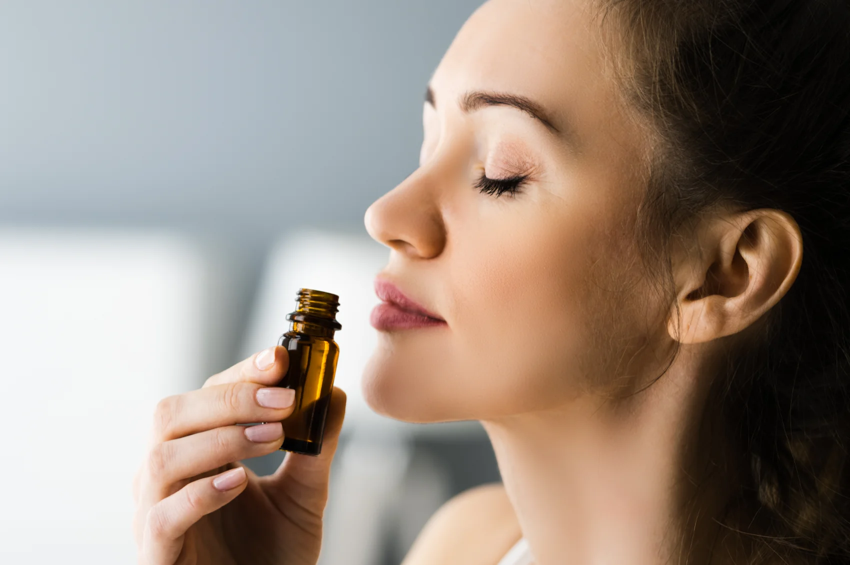 Application In Traditional Medicine And Aromatherapy Of Lavender Extract Application In Traditional Medicine And Aromatherapy Of Lavender Extract