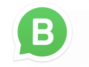 whatsapp-business-logo
