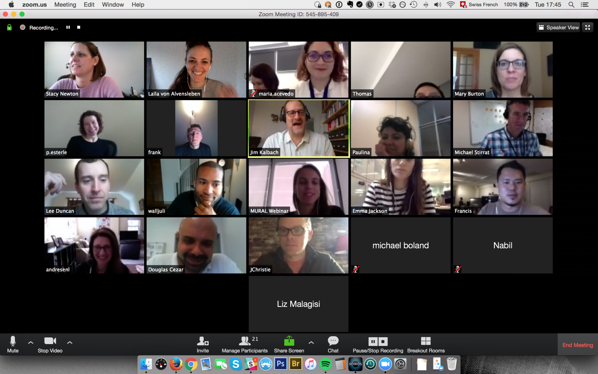 Remote Webinar Participants