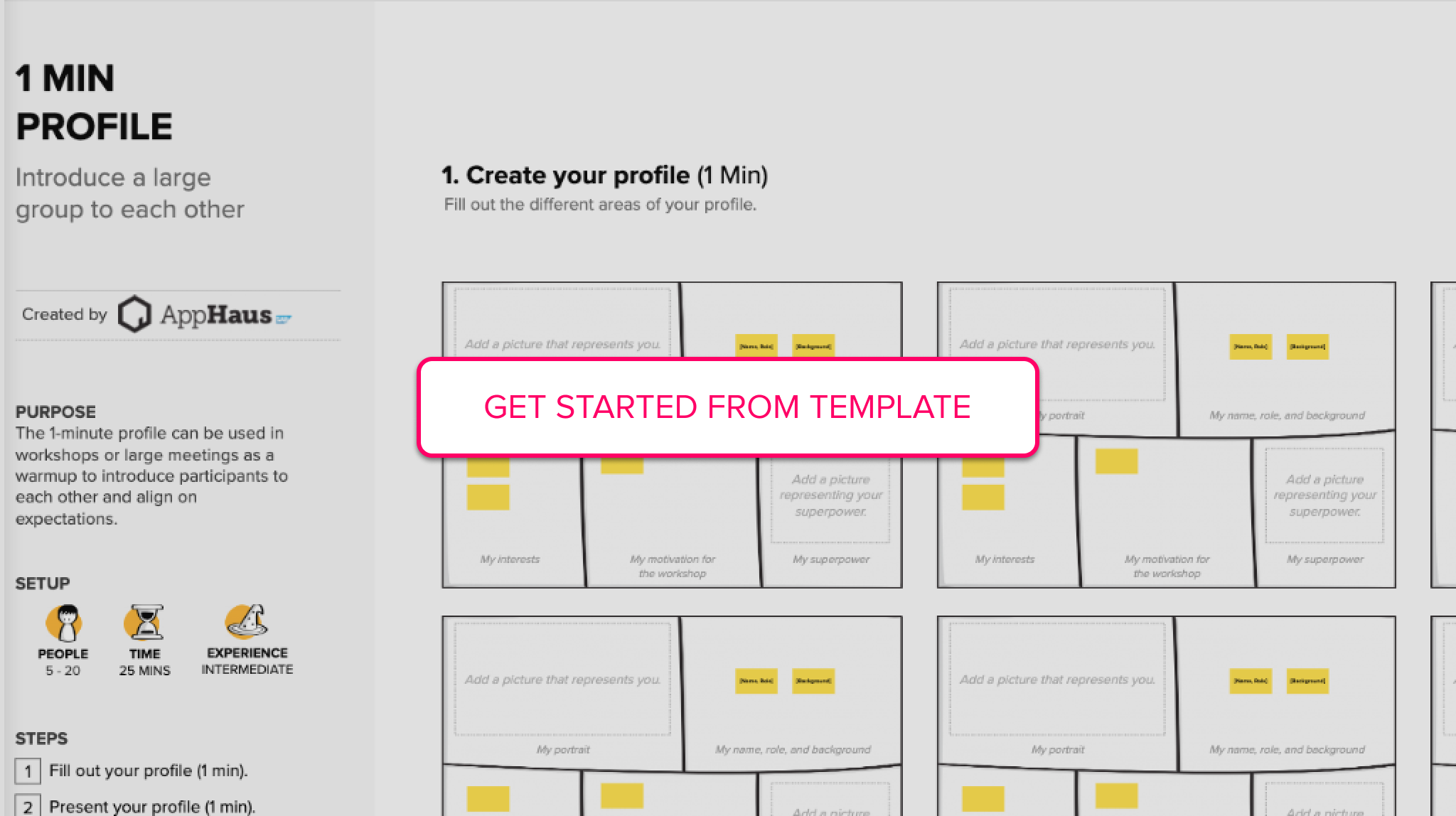 SAP one minute profile template