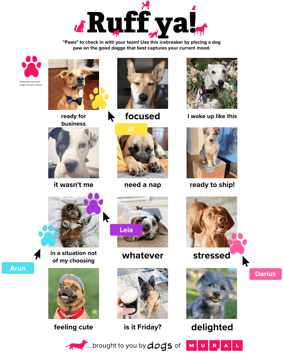 A visual check-in with a grid containing 12 funny photos of dogs with captions. Four team-mates are depicted putting a paw on the photo that represents how they feel.