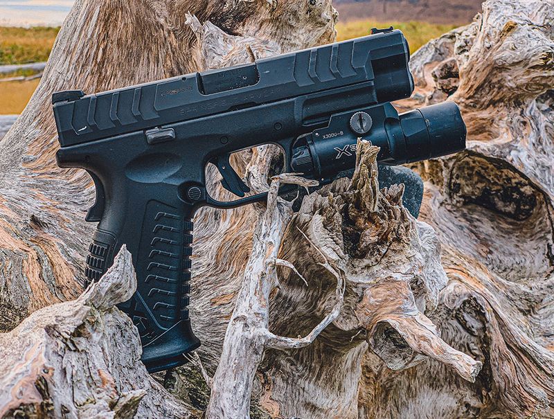 The Best Bear Gun? Gun Talk News