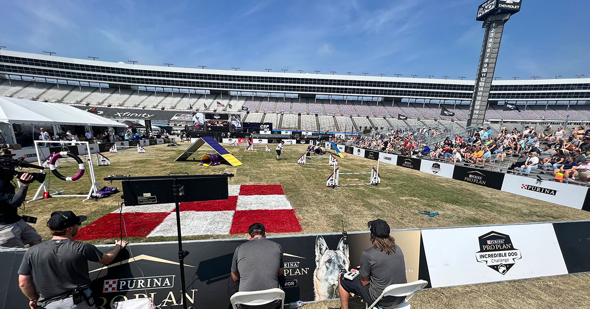 DUX Expo Recap Gun Talk News