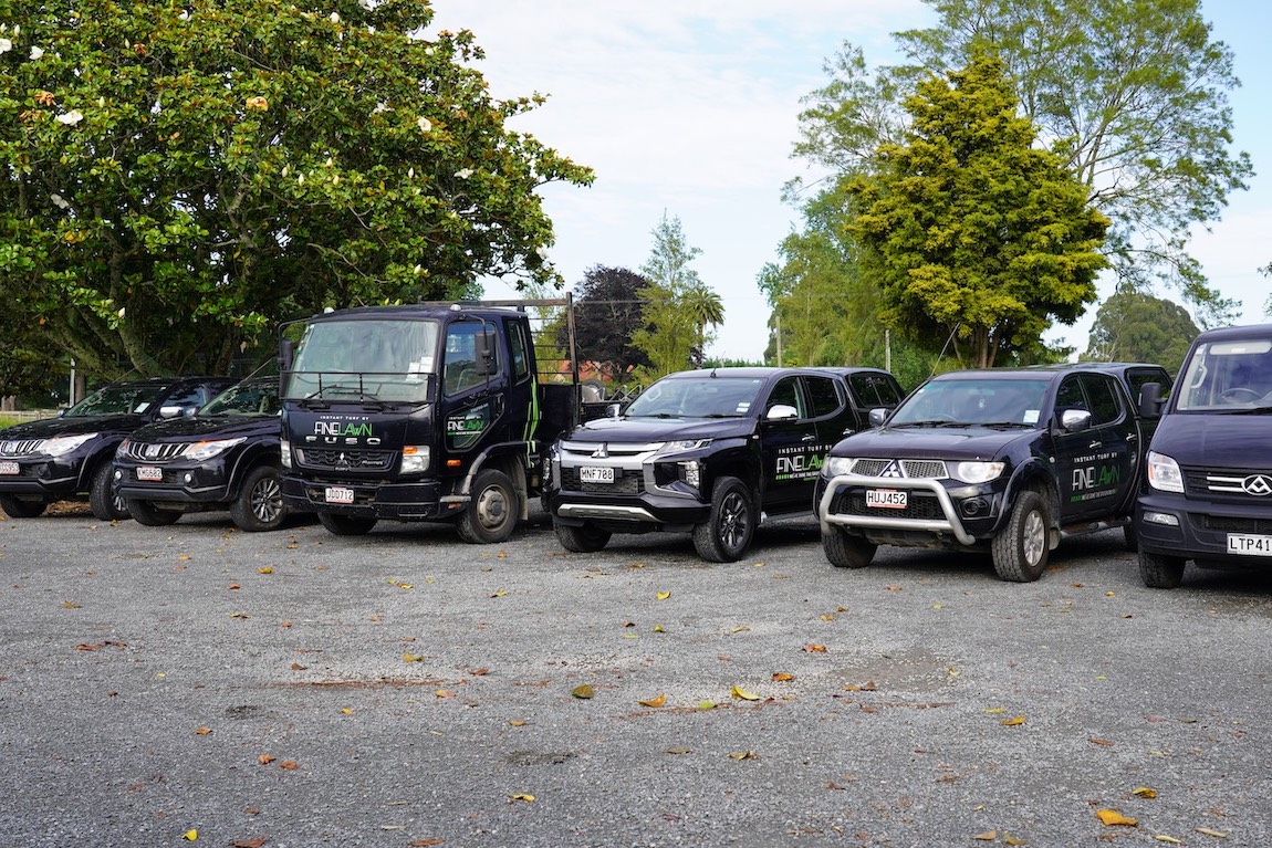 cars parked in a line
