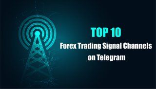 Best forex signal telegram group 2022