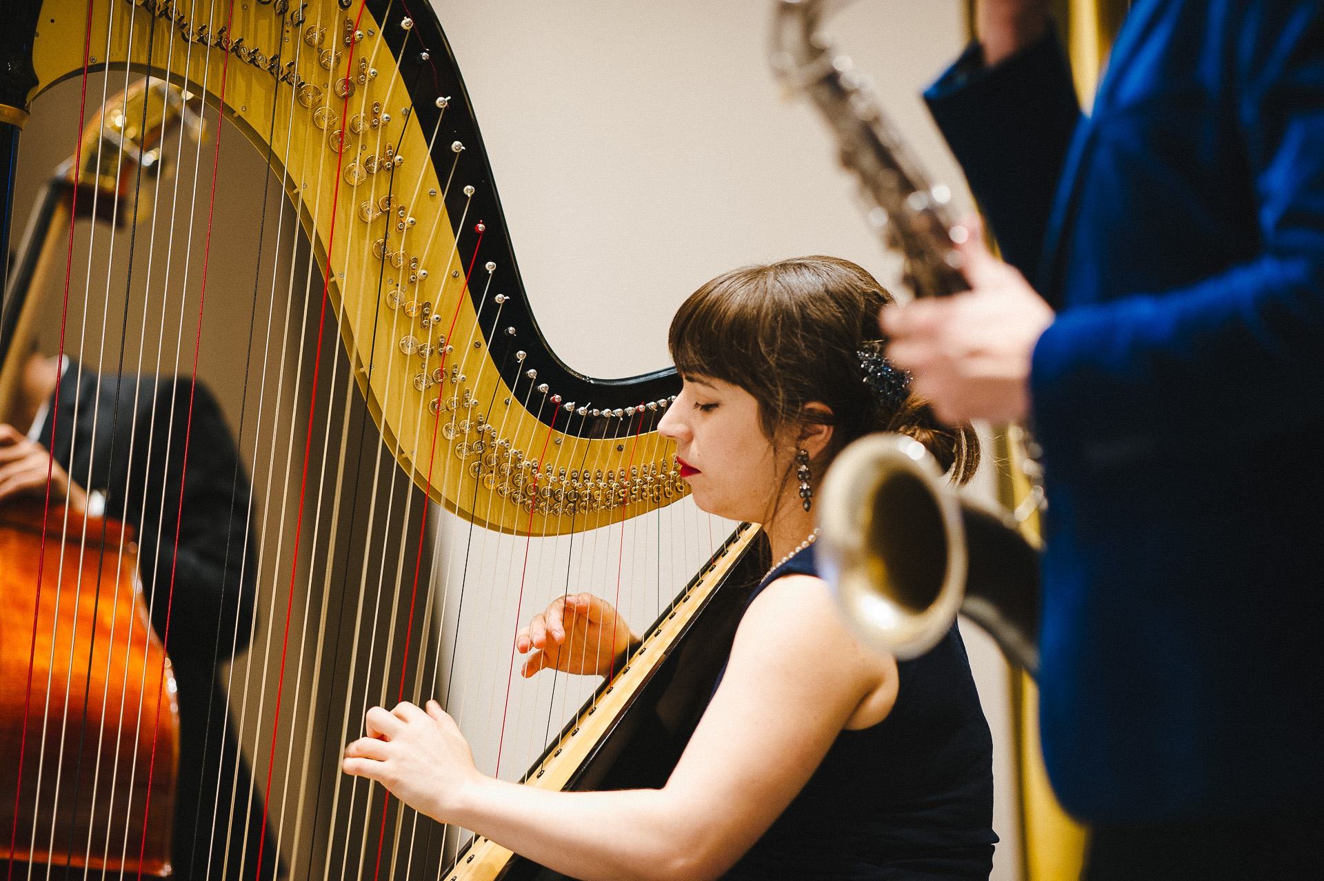 Details About Jazz Harp Trio