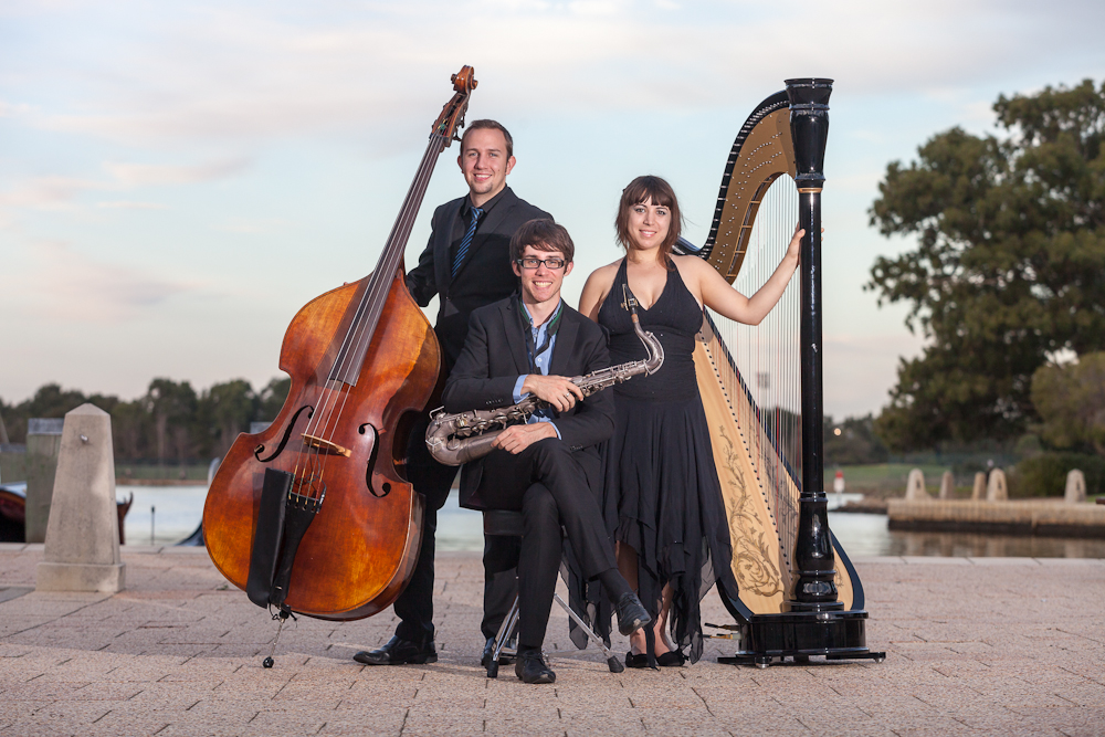 Details About Jazz Harp Trio