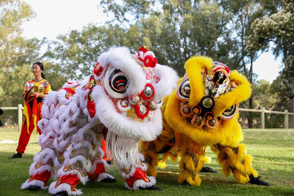 Details About - Lion Dance