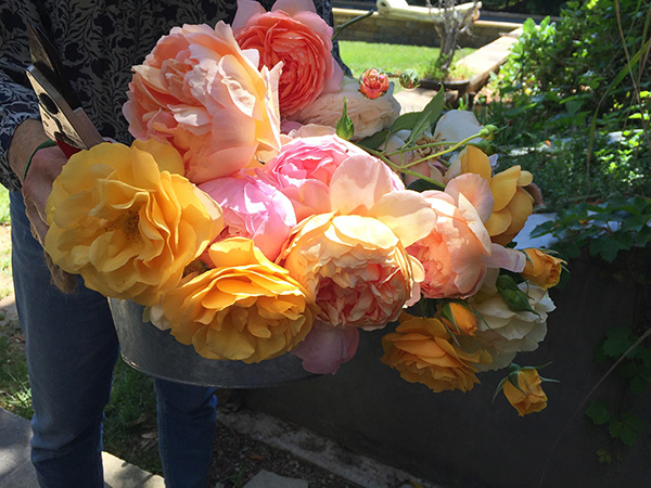 Photo of a basket of flowers from Cathy Waterman's garden.