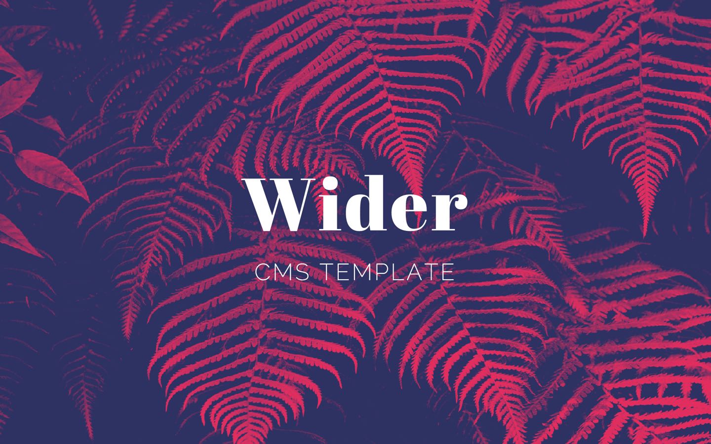 Wider CMS Designer HTML5 Responsive Website Template Wider CMS Designer HTML5 Responsive Website Template