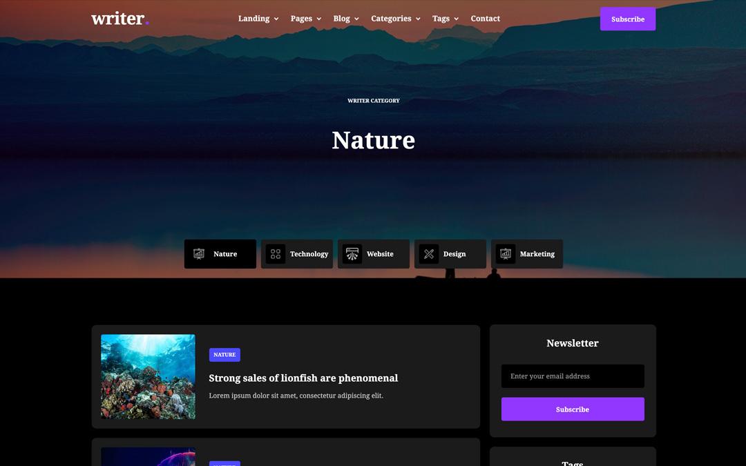 Writer - Blog HTML5 Responsive Website Template