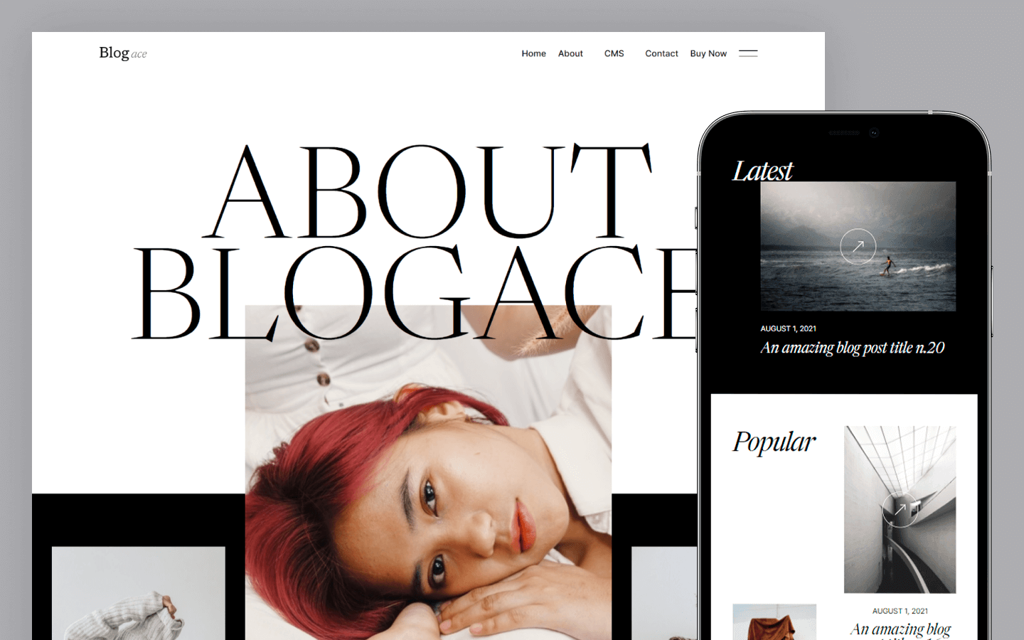 Blog Ace - Blog HTML5 Responsive Website Template