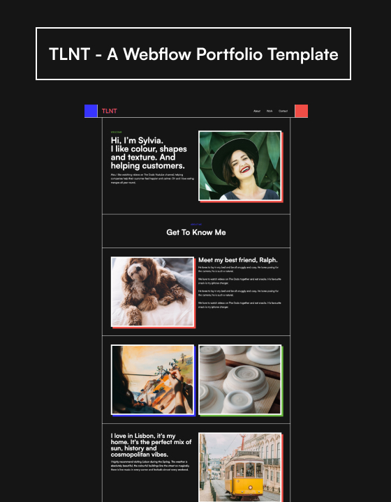 TLNT by ENVSN - Portfolio design asset by webflow