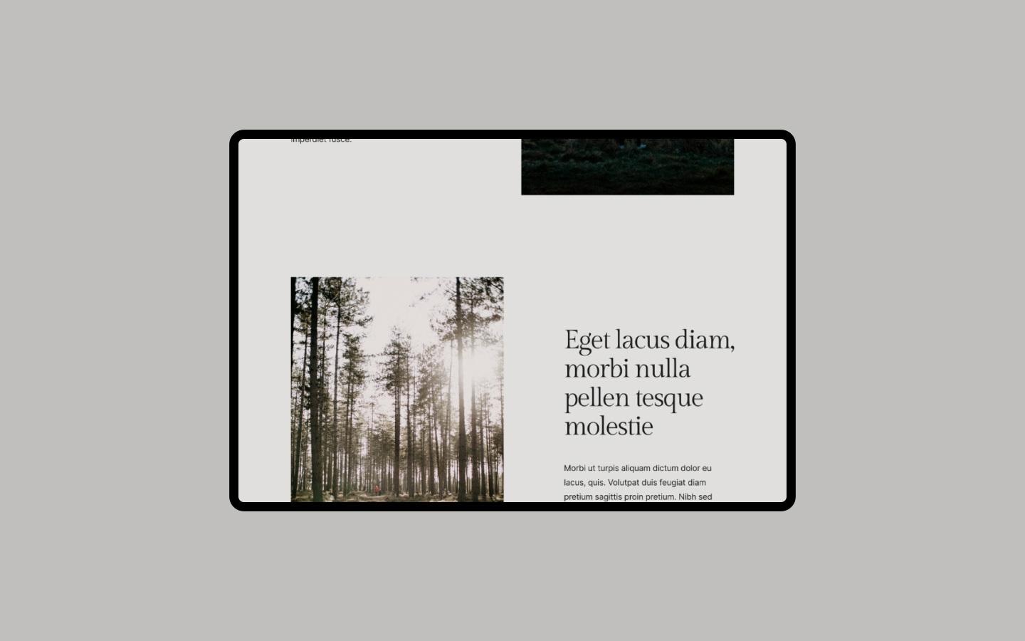 Depth - Photography HTML5 Responsive Website Template