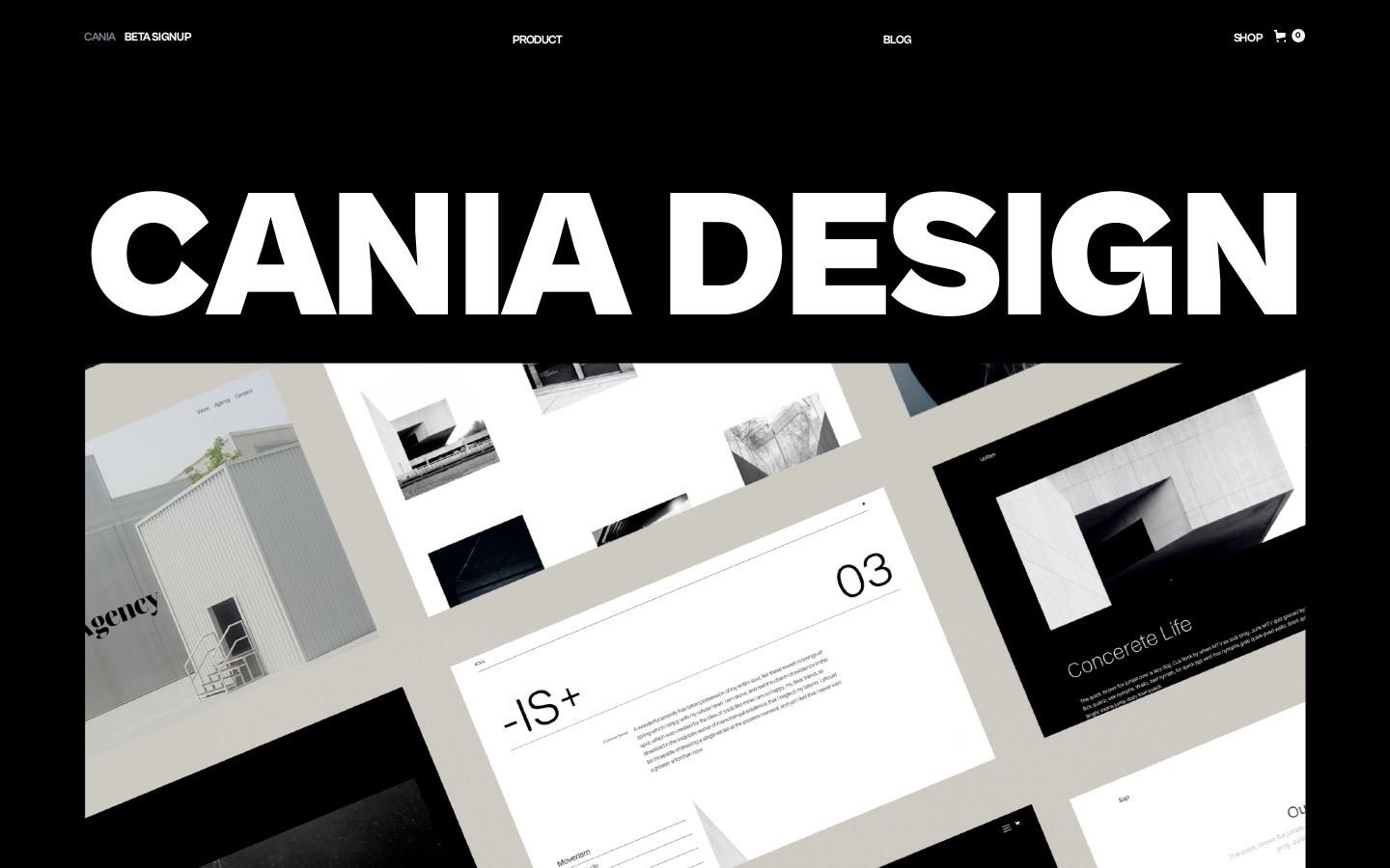 Cania - Designer HTML5 Responsive Website Template