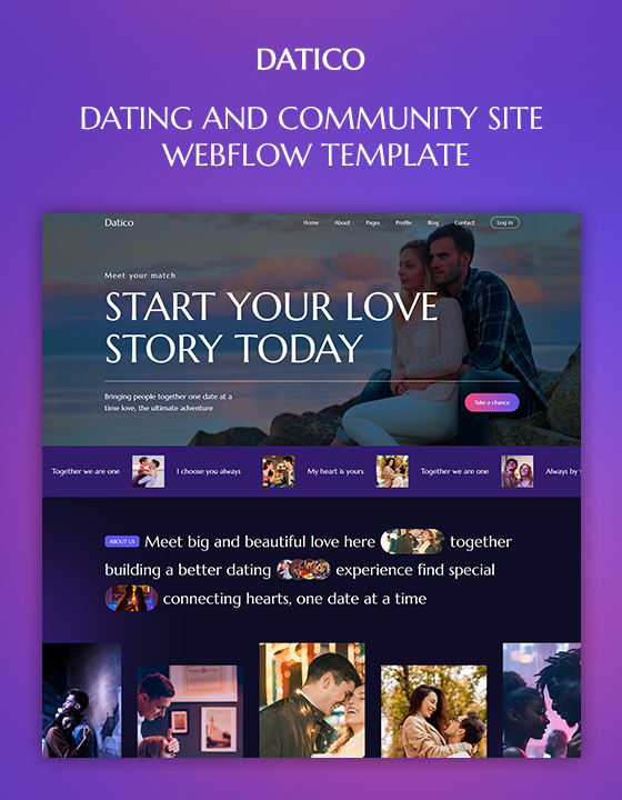 Datico by ThemetechMount - Uncategorized design asset by webflow