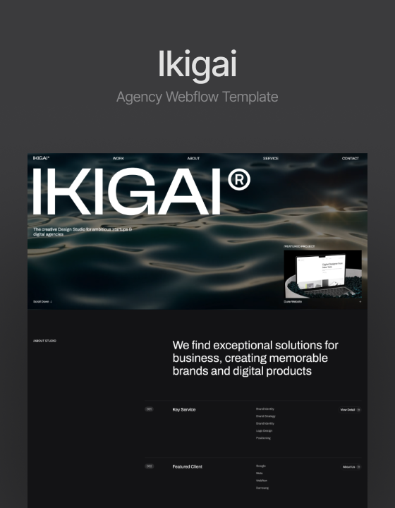 Ikigai by Mata Nguyen