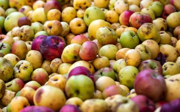 Madison-area Hy-Vees help shoppers save cash, reduce food waste