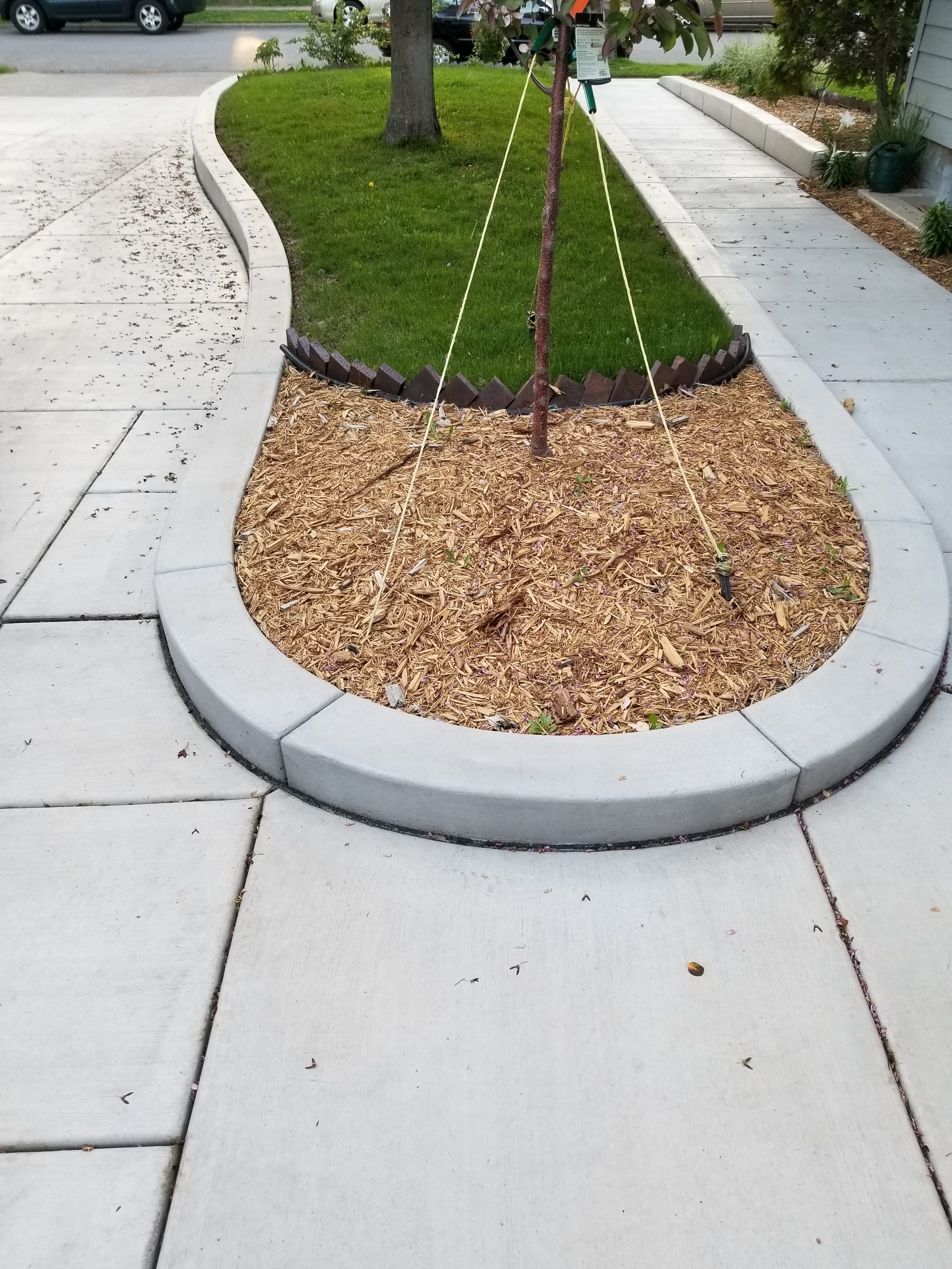Concrete Path With Curbing