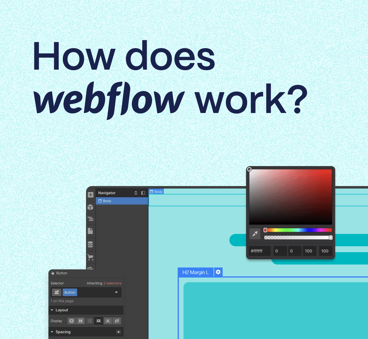 How Does Webflow Work?