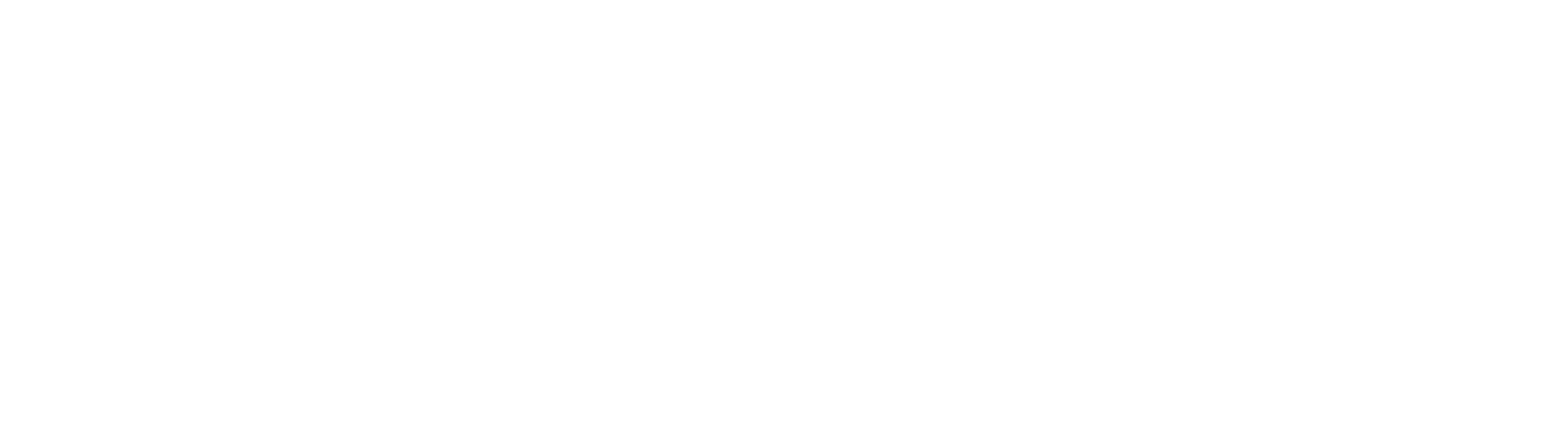 F1600 Championship Series Logo