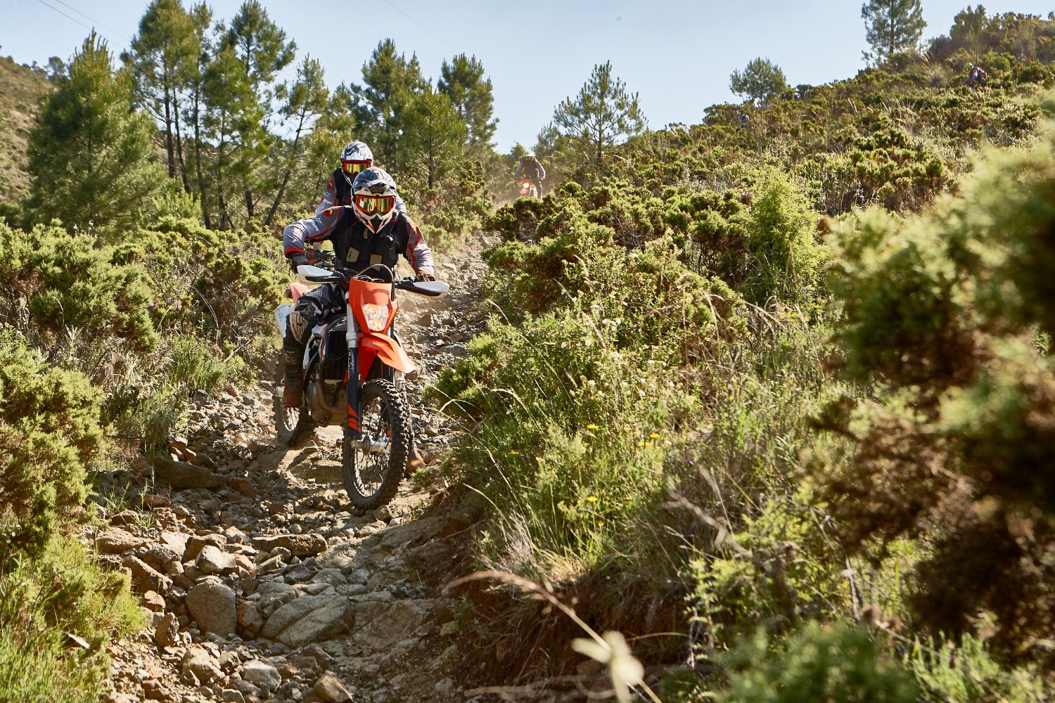 dust devils-El Chorro Lakes rides