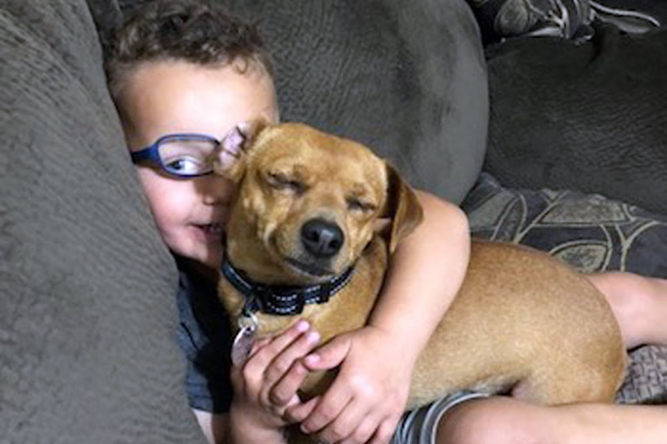 Five reasons to adopt an older dog