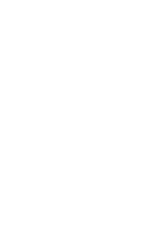 Wappenschnitt seitlich