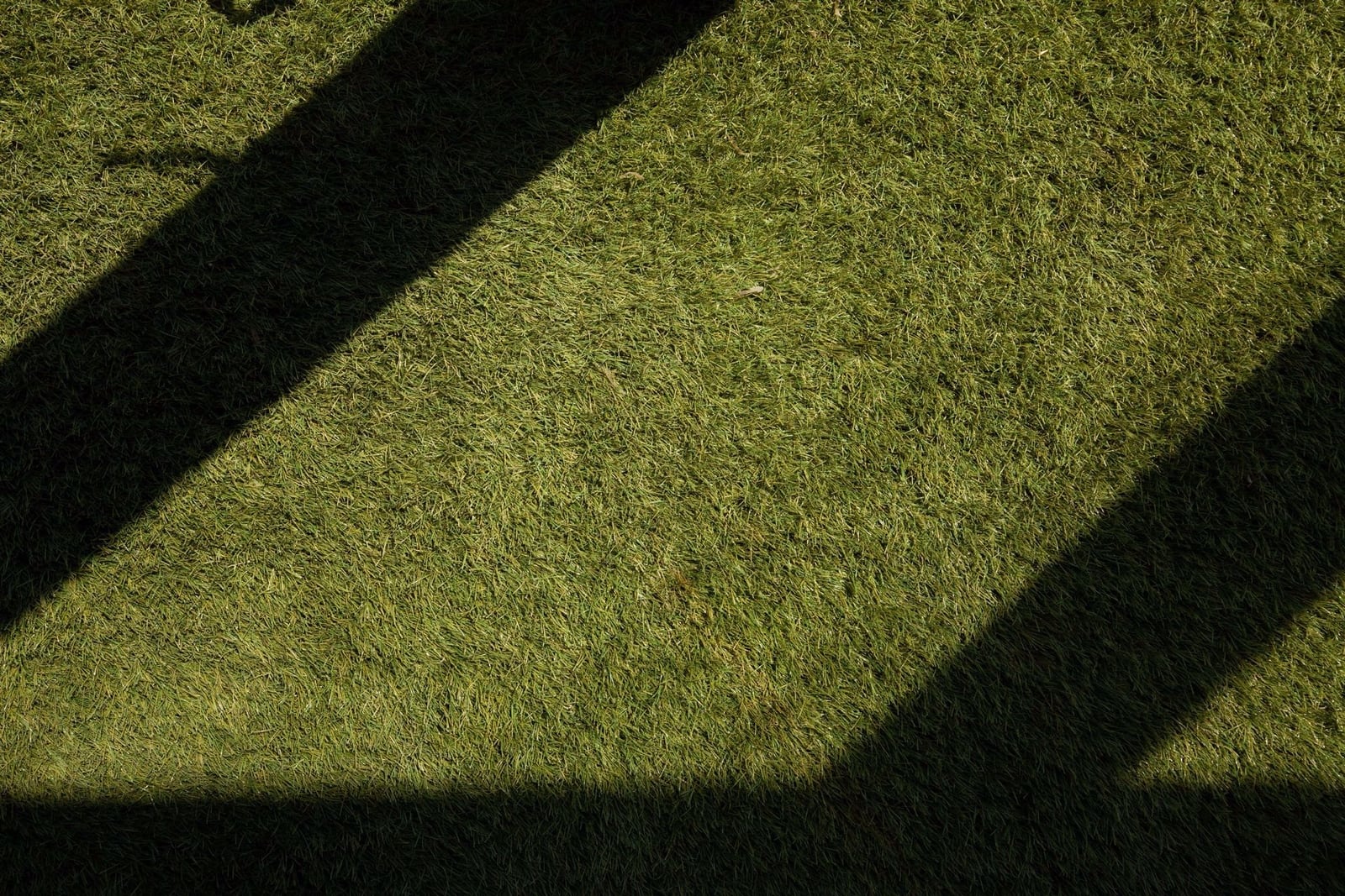 Belgotex Grass Pretoria