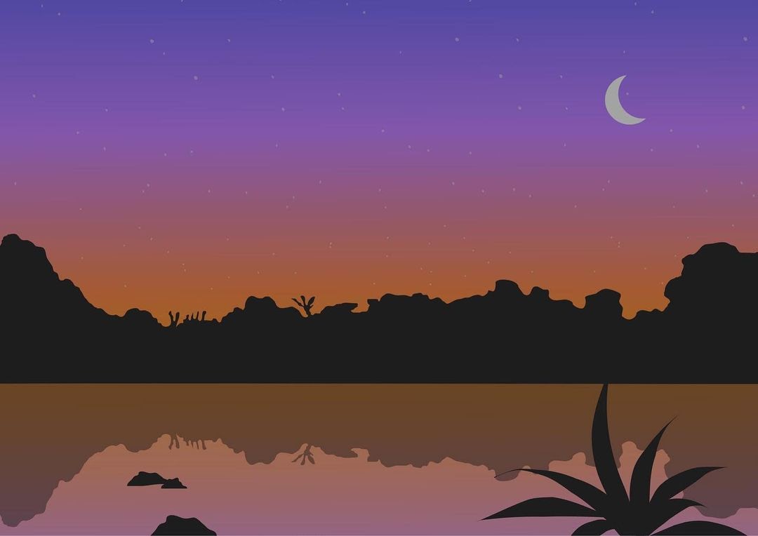 illustration vector moon desert night sky