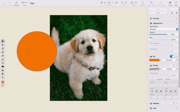 Cropping an Image of a puppy