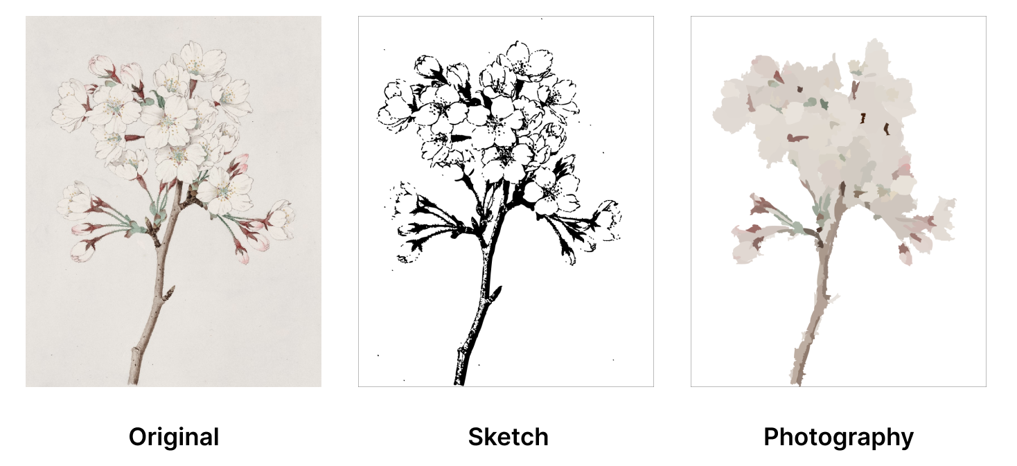 auto trace sketch and photography in vectornator