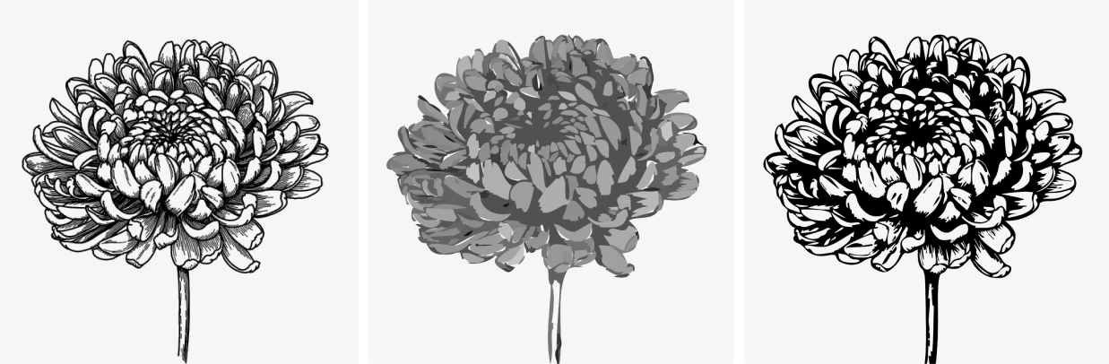 Using Auto Trace on a Flower Illustration in Vectornator