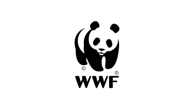 Panda with letters beneath.
