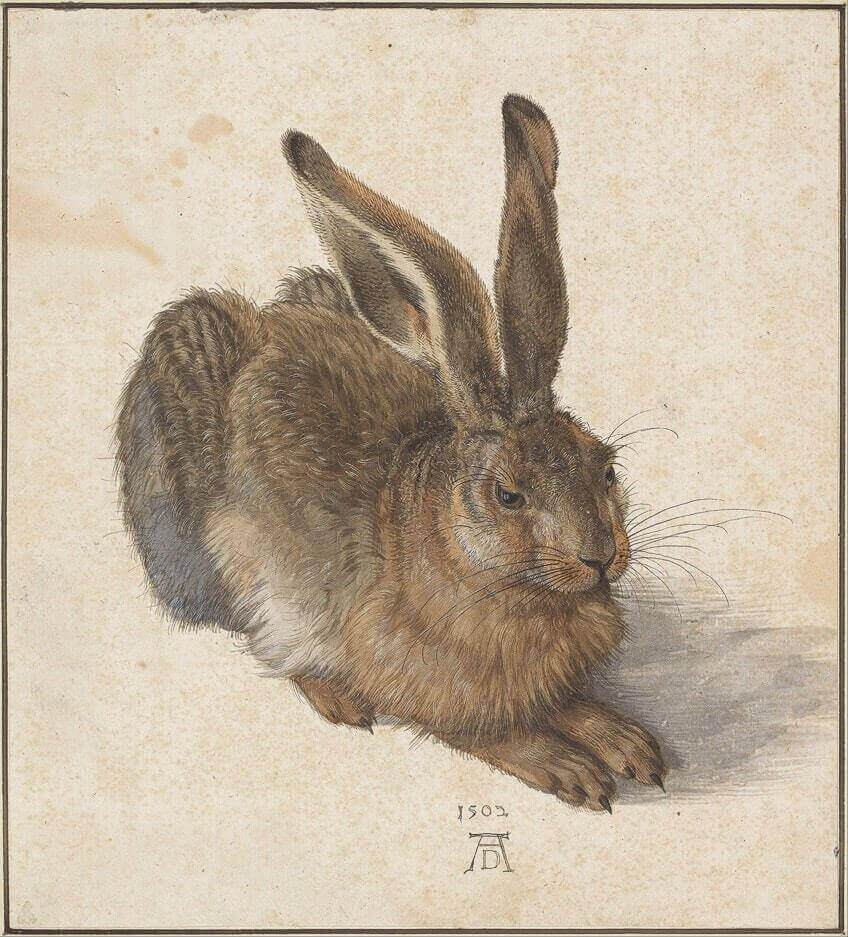 Drawing of a brown hare on a beige background and letters at the bottom.