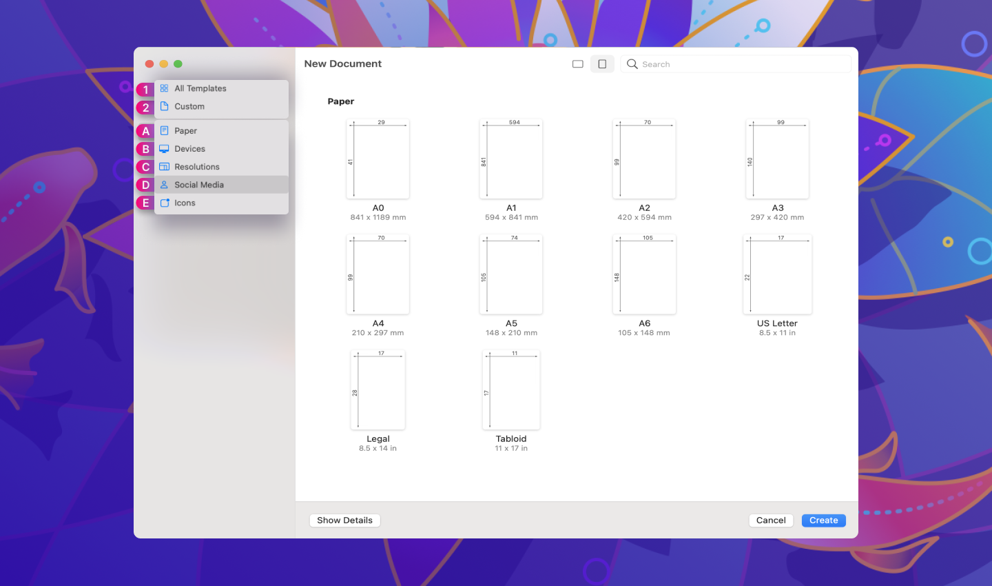 Homescreen | Vectornator Learn Mac