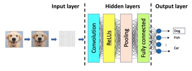 A CNN classifies an image by translating picture content to location and color codes. Afterwards the hidden layers do their work and make a prediction in the output layer.