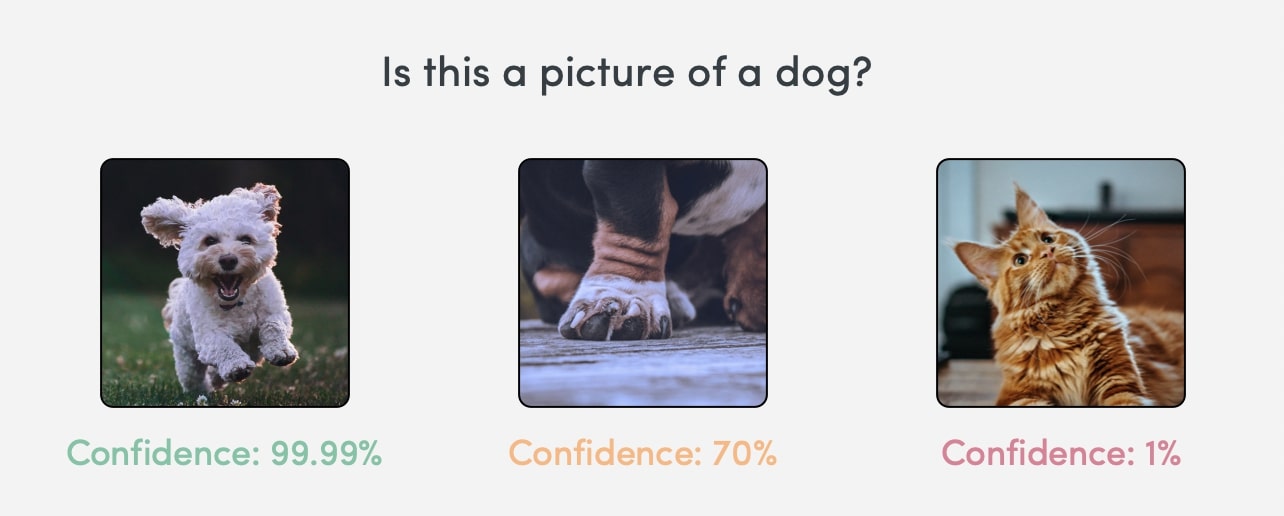Three pictures with associated confidence levels