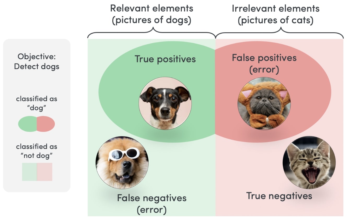 Matrix of the choices an image classifier can make