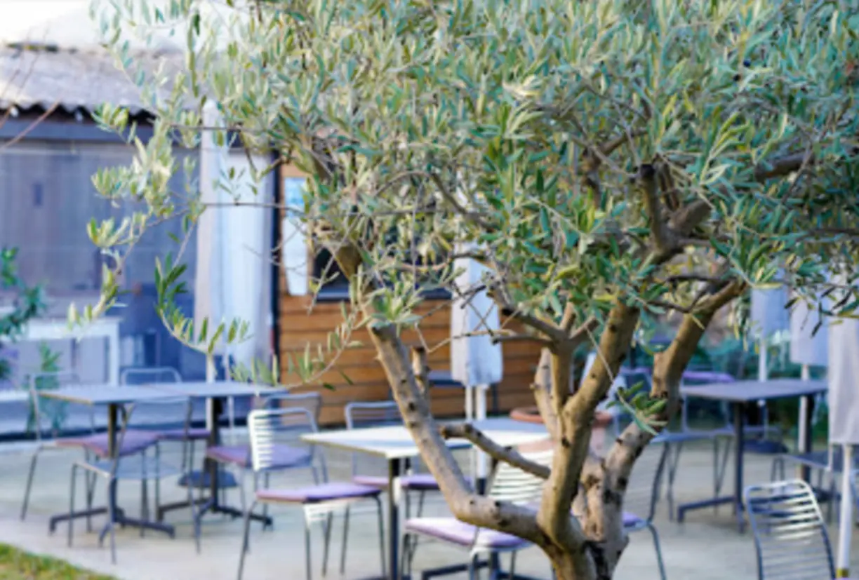 Hôtel Paul • AixenProvence Hôtel Paul • AixenProvence