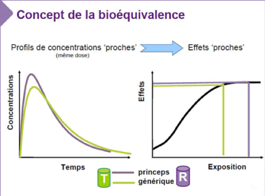 Concept de la bioéquivalence