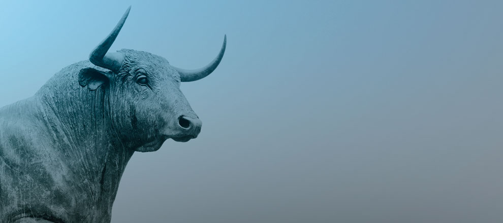 Bull market e Bear market: Conheça os conceitos