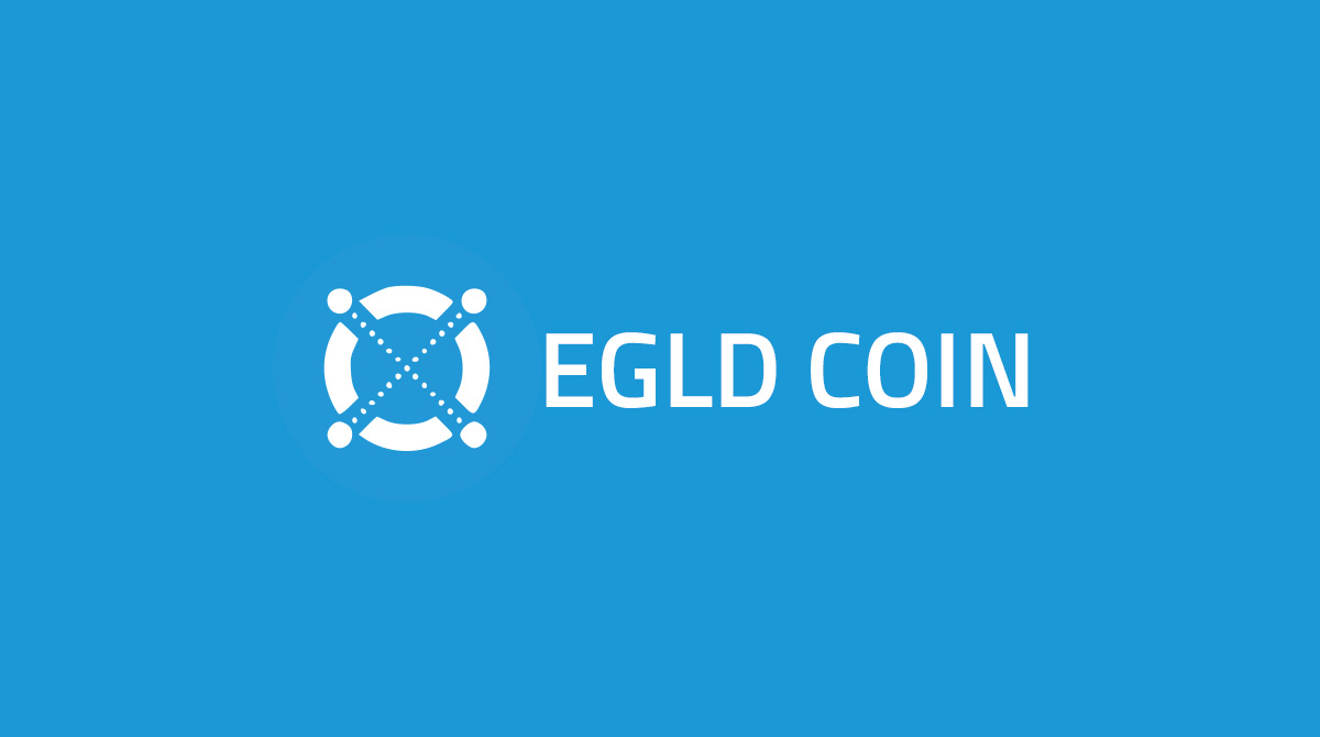 EGLD Coin: Vale a pena investir?