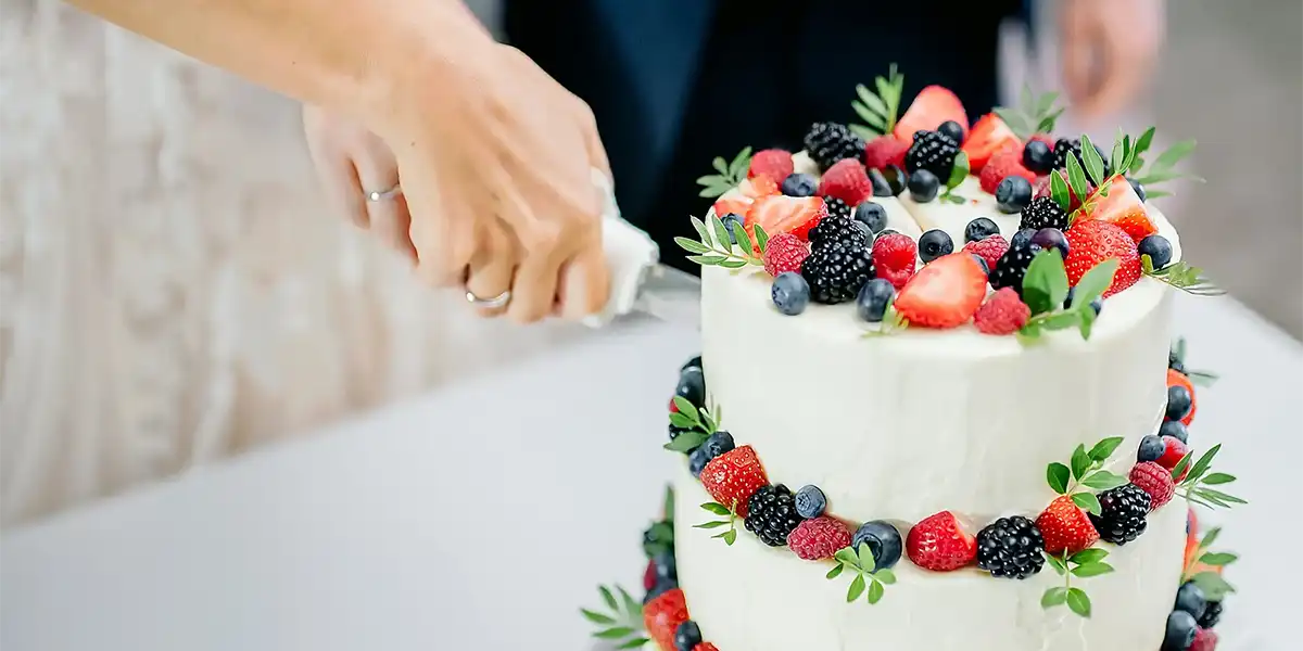 Hochzeitstorte Burgenland • Austria Wedding