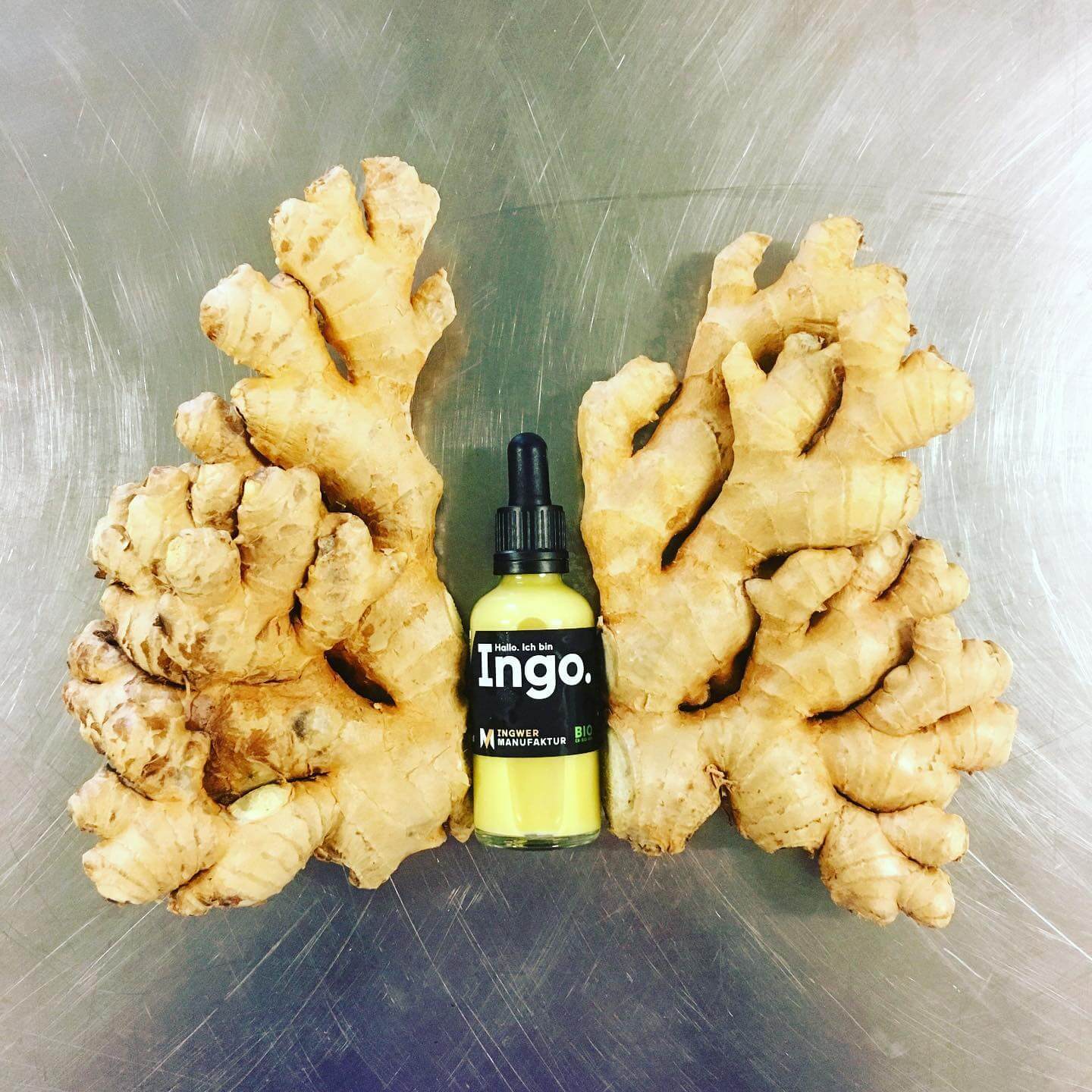 Ginger Manufacture Ltd