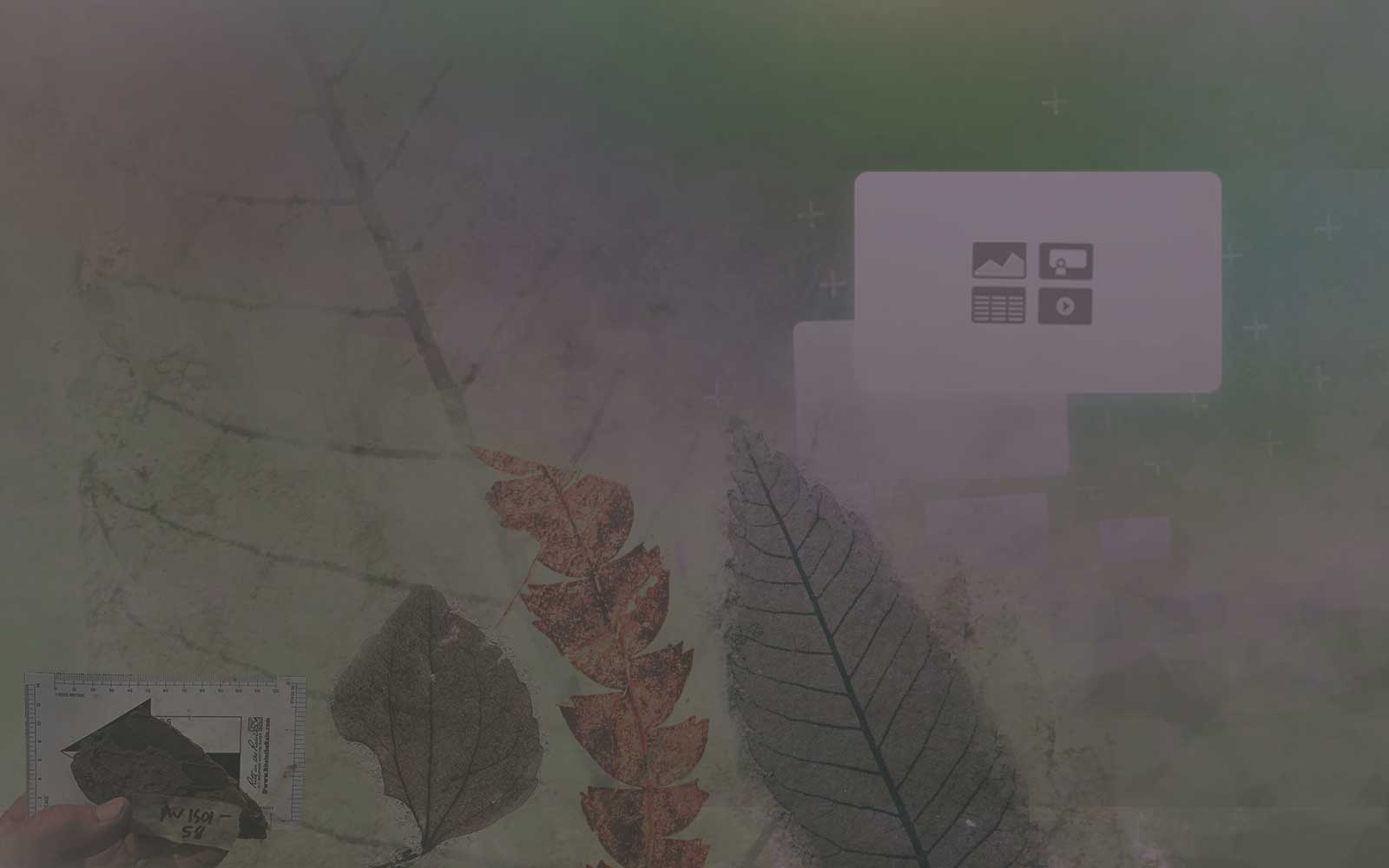 Using Figshare+  for easily sharing large image-file databases and tracking impact